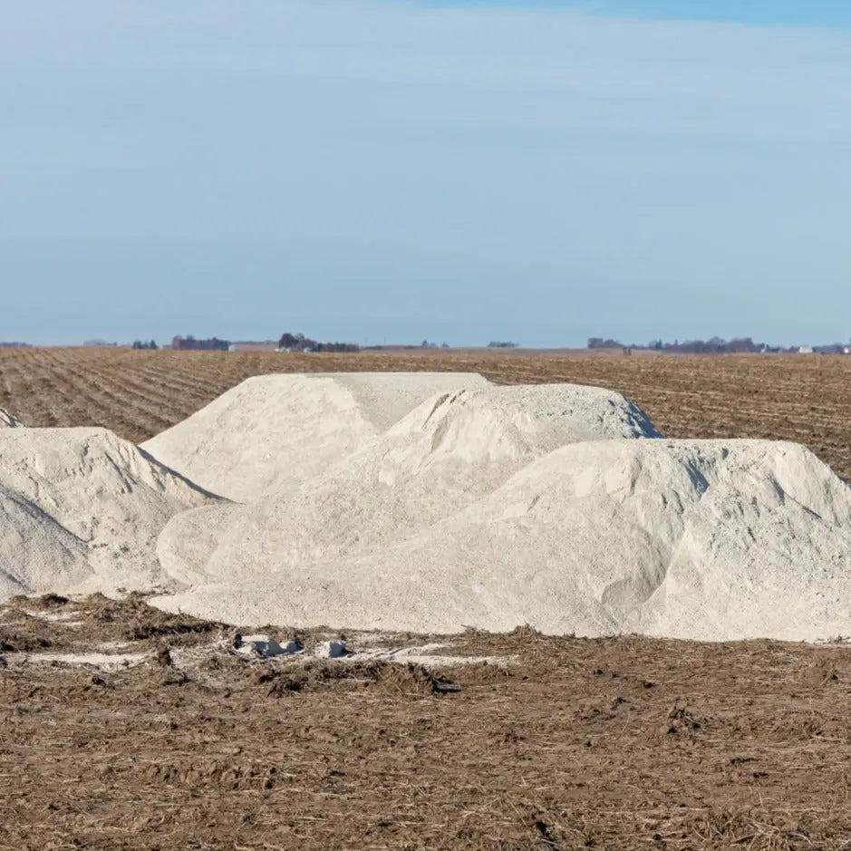 Sulfate de Calcium Dihydraté 10 85 Calcium, Culture Champignons, Amendement Sols, Stabilisateur sols agricoles, Engrais, Sulfate de Calcium