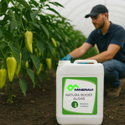 NATURA-BOOST Algues : Bio-stimulant Organique Marin Concentré - Vetonek