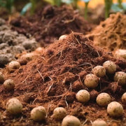 Substrat Hydroponique | 60% Fibre Coco et 40% Argile Expansée Vetonek