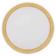 Plafón LED Decorativo CCT 3000-6000ºK (Tonalidad Luz Regulable) Control Remoto Acabado Blanco — Vetonek (5)