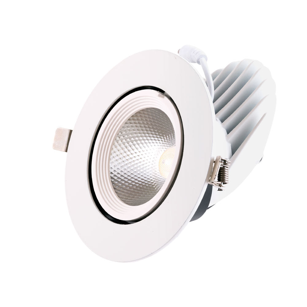 Foco Downlight LED 4000ºK Circular Orientable — Vetonek
