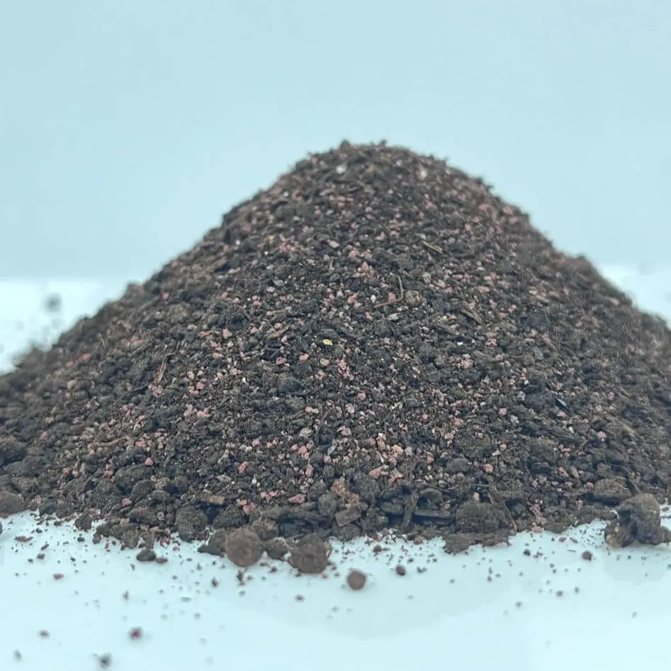 Eco VulcanMush Compost Champignon et Lave Volcanique - Vetonek