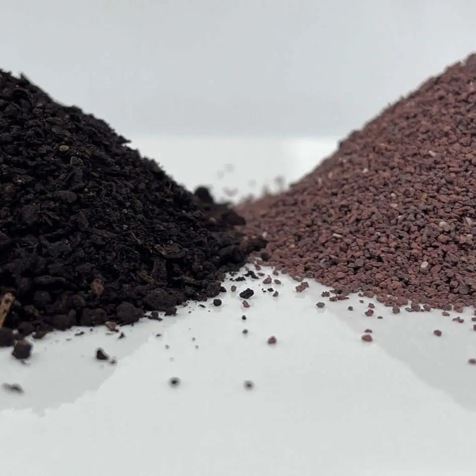Eco VulcanMush Compost Champignon et Lave Volcanique - Vetonek