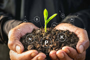 Vermichar Activado Vetonek - Vetonek