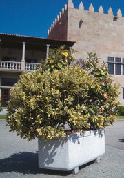 Jardinera Cihuri moderna de hormigón blanco