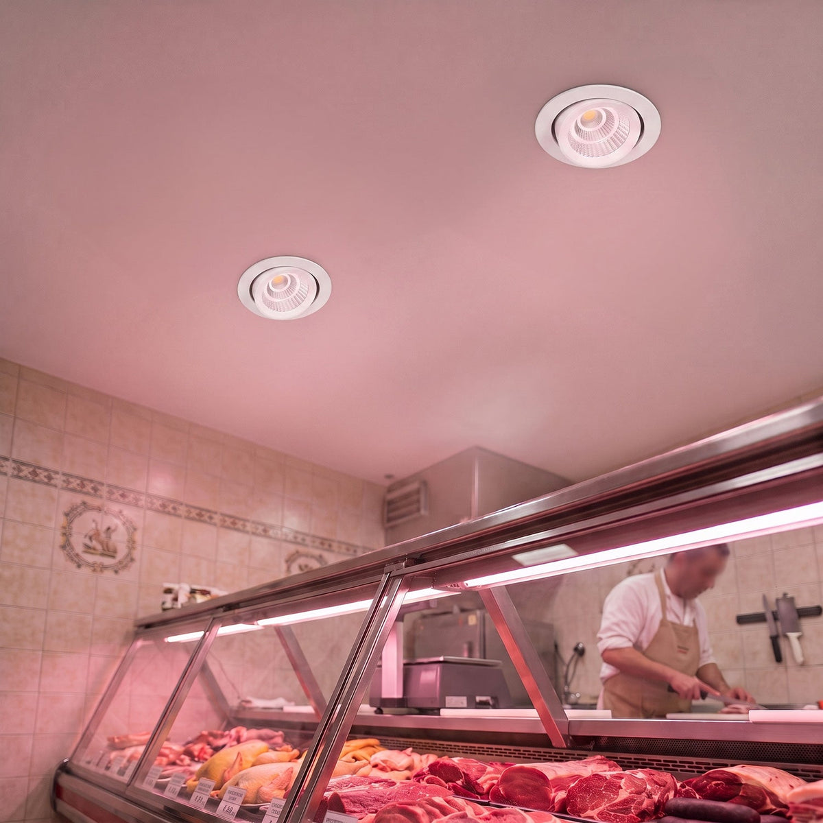 Downlight LED basculante empotrable - Chip especial para carnicerías 40W — Vetonek (2)
