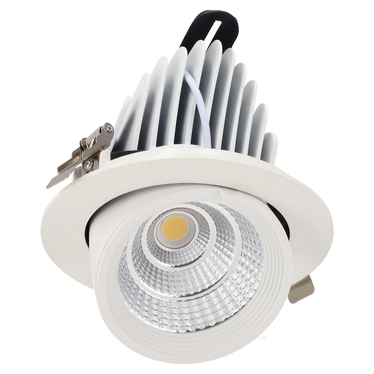 Downlight LED basculante empotrable - Chip especial para carnicerías 40W — Vetonek (3)