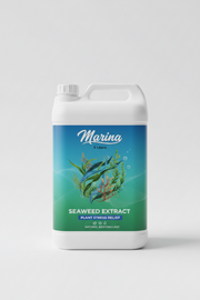 Marina — Extracto de algas para momentos de estrés