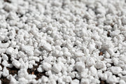 Perlite Expansée Vetonek