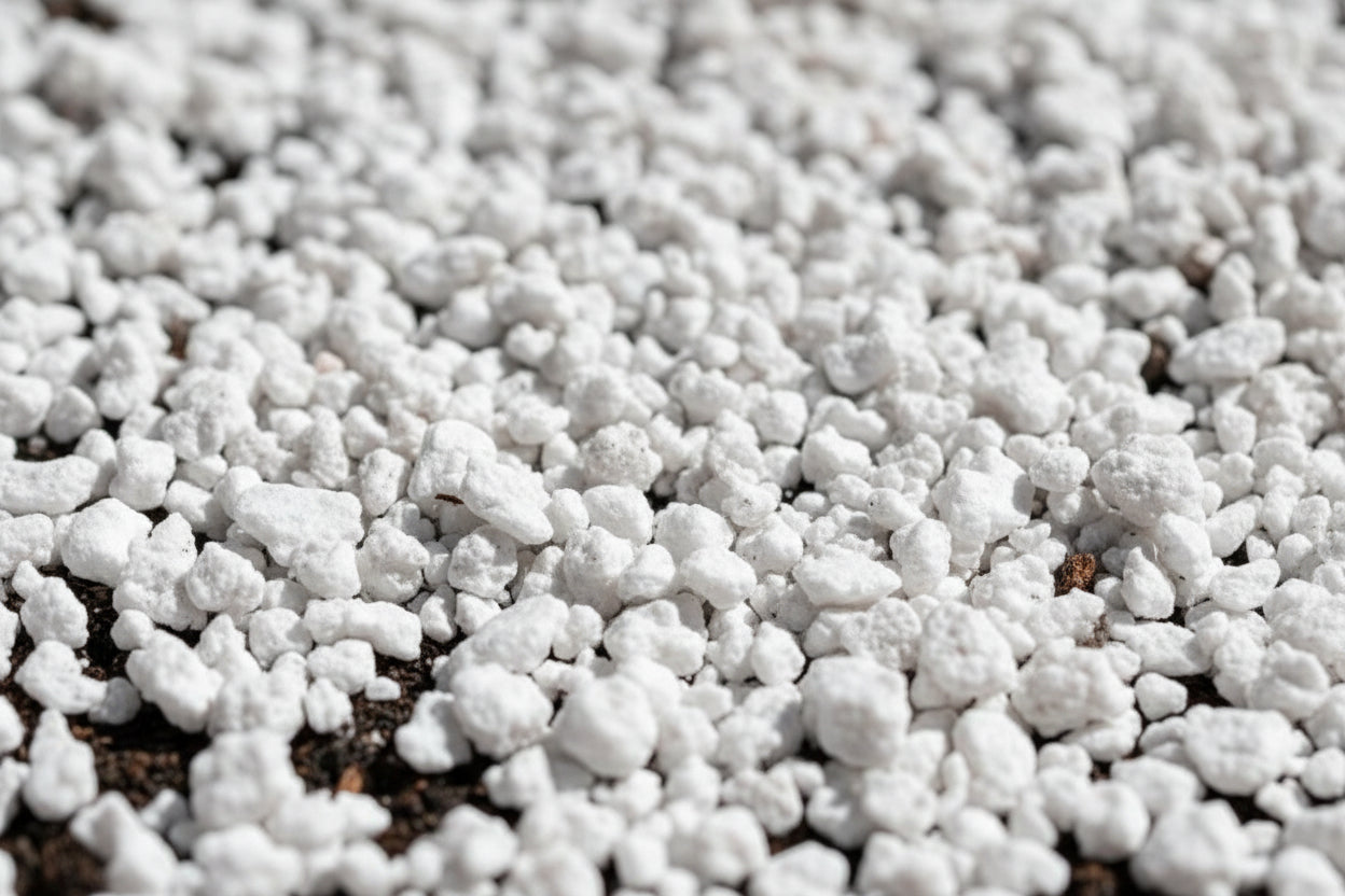 Perlite Expansée Vetonek