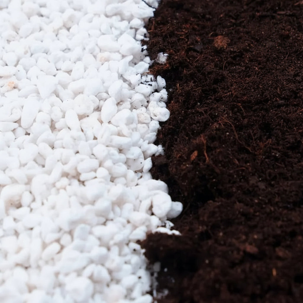 Perlite Expansée Vetonek