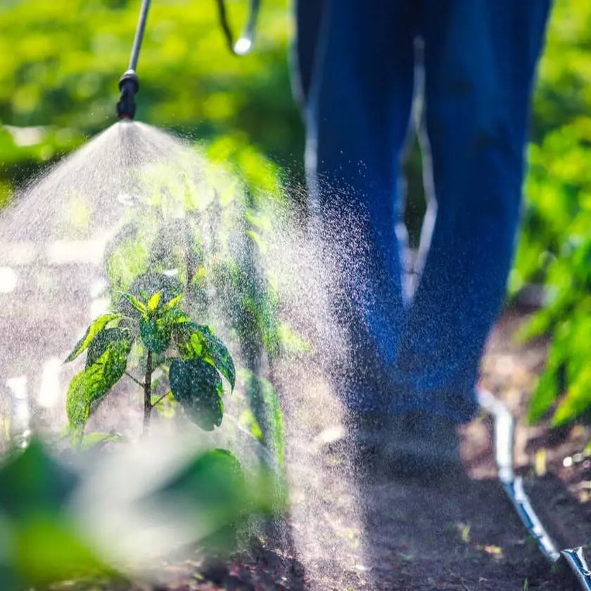 Protecteur Plantes Humidités - Vetonek