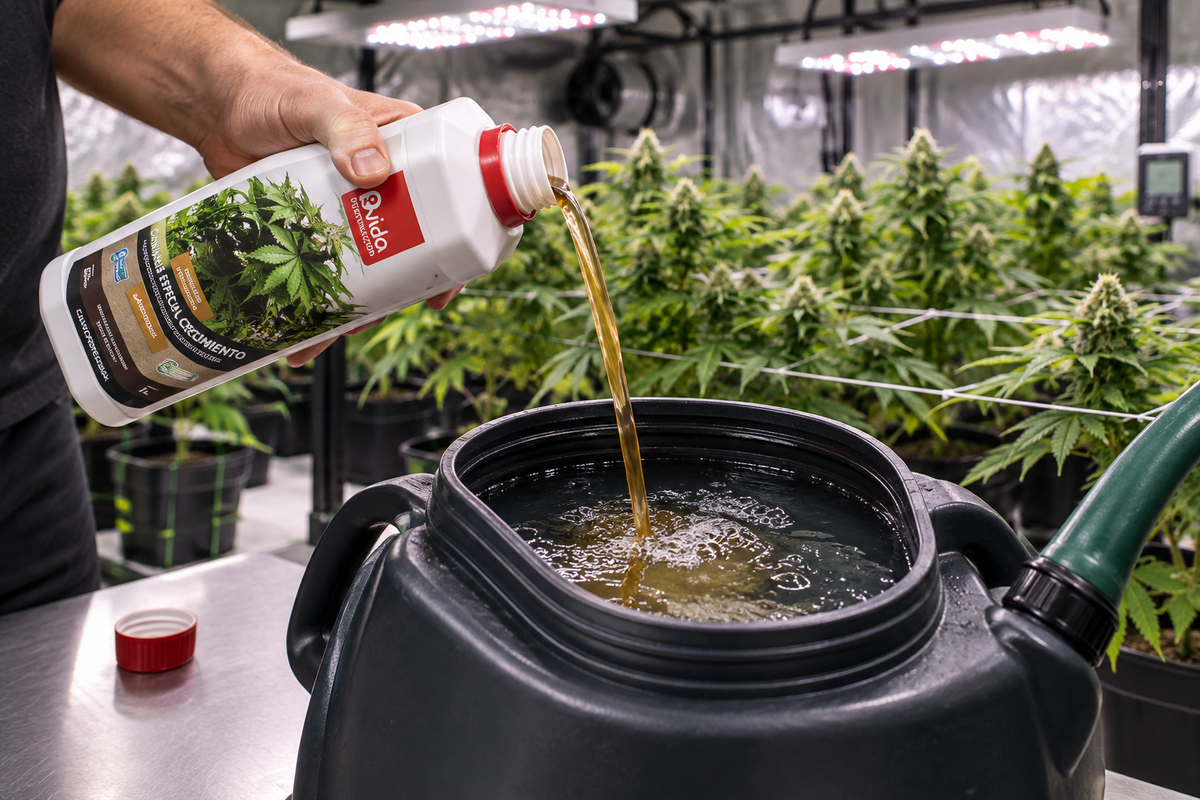 Fertilizante cannabis especial crecimiento 1 L
