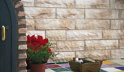 Muro con Revestimiento Cabanillas