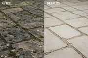 Antes y despues de fila nomold en vetonek