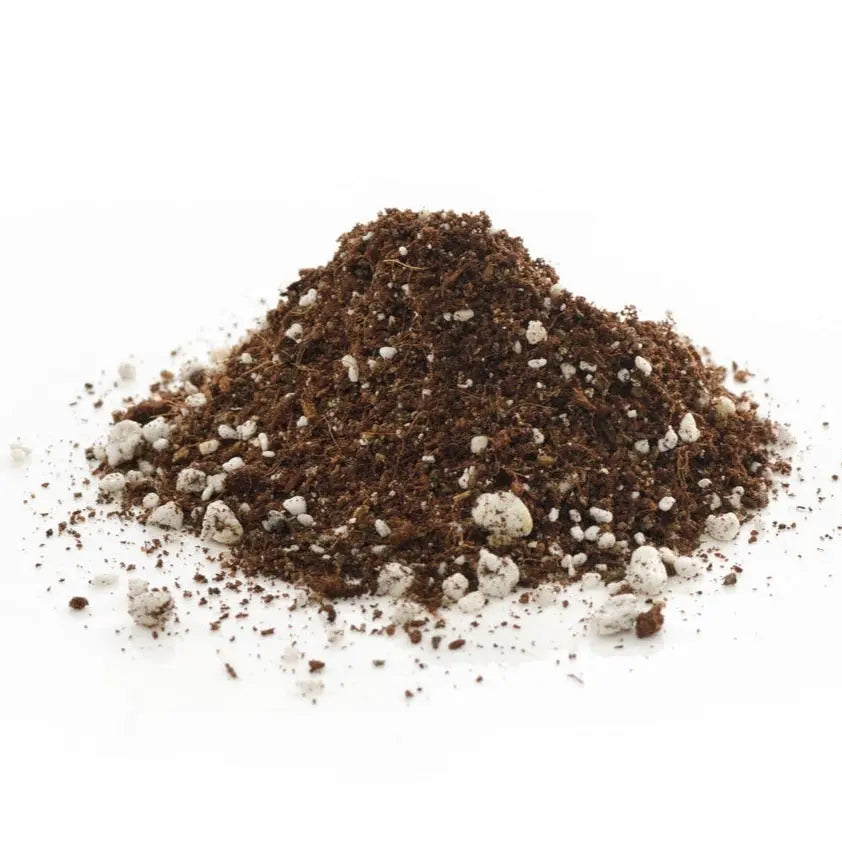Substrat Hydroponique | 70% Fibre de Coco + 30% Perlite - Vetonek
