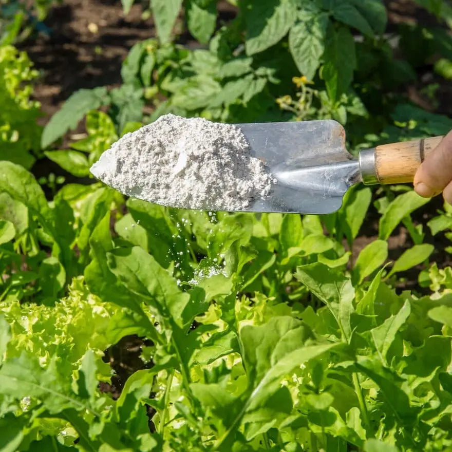 Champ agricole étant traité avec Terre de Diatomées