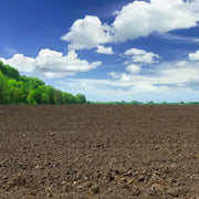 Terre Naturelle Valorisé - Vetonek
