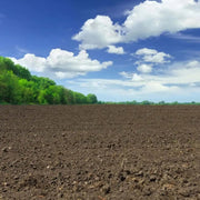 Terre Abonnée Économique - Vetonek