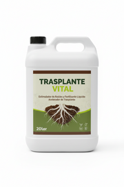 Trasplante Vital — Impulso al enraizamiento tras el trasplante