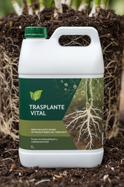 Trasplante Vital — Impulso al enraizamiento tras el trasplante