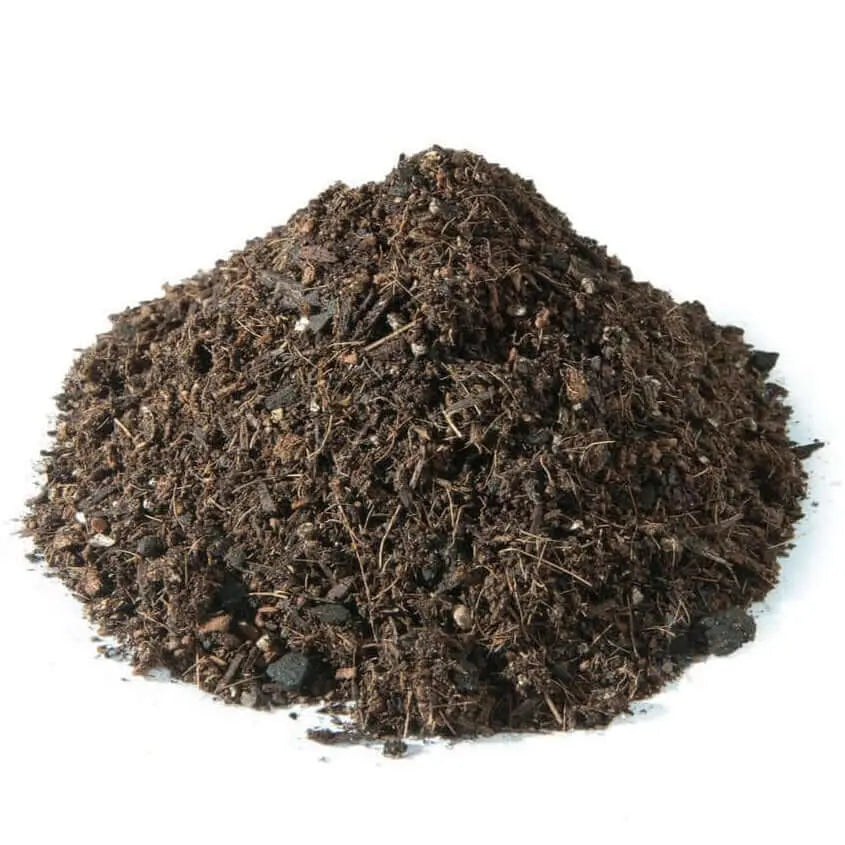 Substrat Organique Tur bas Rubia Negra Vetonek
