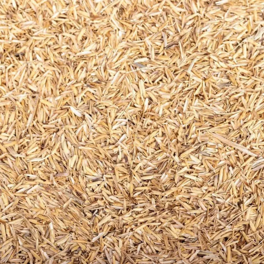 coque de riz en vrac acheter pas cher