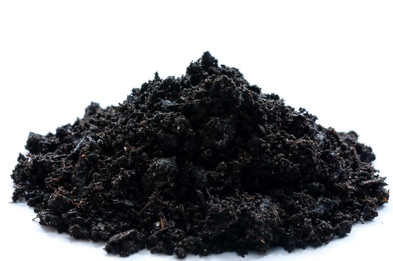 Biochar Bio Charcoal carbon actif agriculture