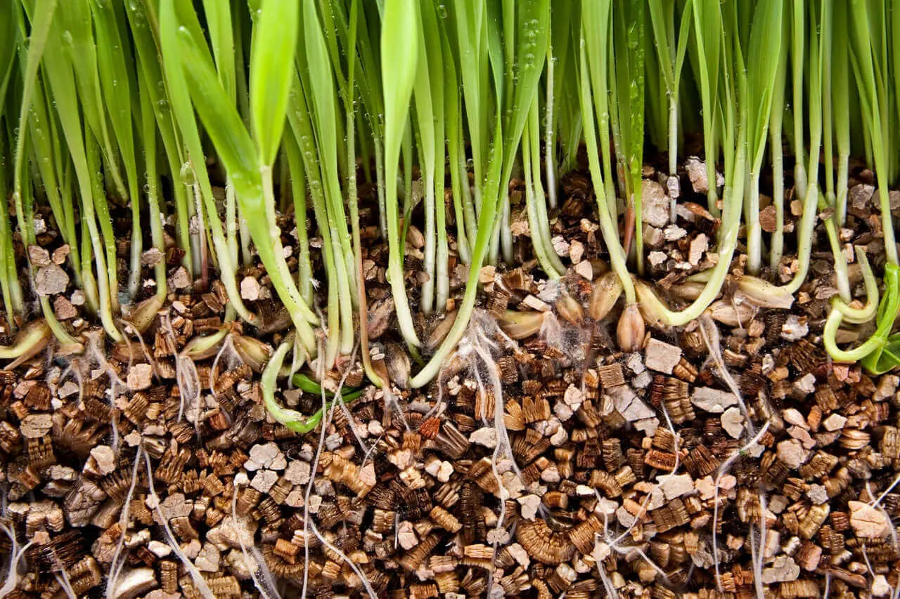 Vermiculite Exfoliée Vetonek pierre jardin